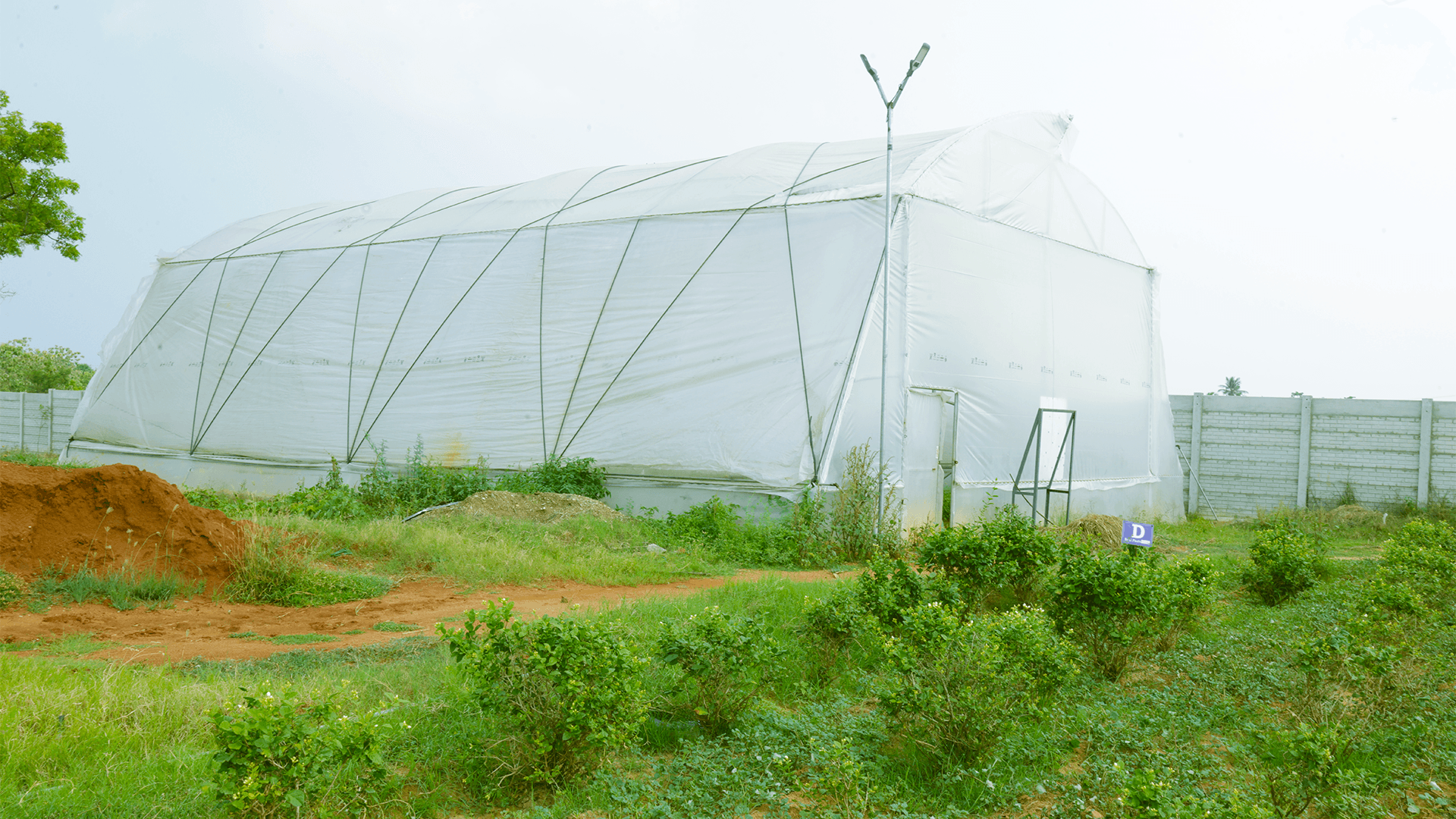 Amitié Fleur research greenhouse and cultivation trials