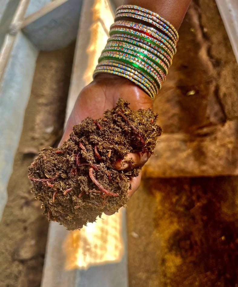 Vermicompost unit